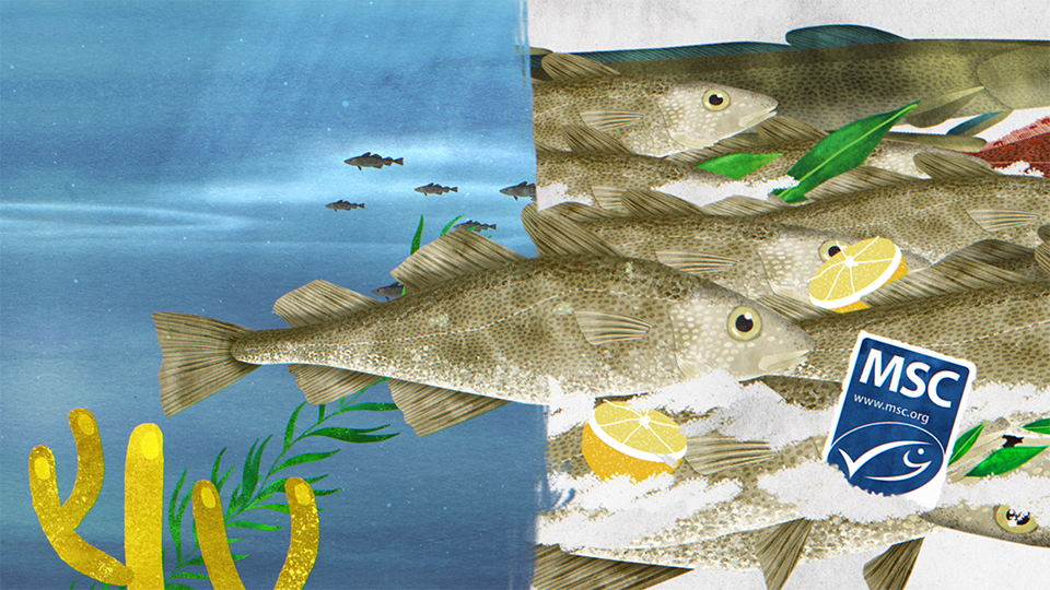 Een goed verhaal op je bord